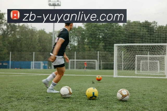 雨燕体育直播APP 高清赛事图